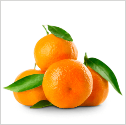 MANDARINA